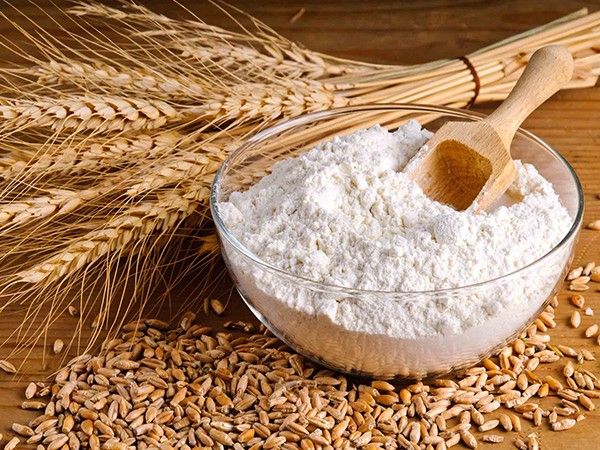 Minimum Order Quantity (MOQ) & Bulk Pricing for Iranian Wheat Flour Buyers